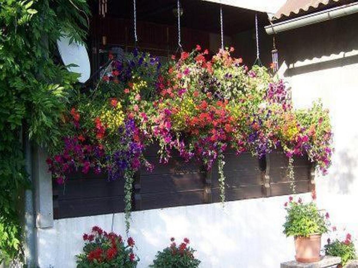 Apartment Monte Rosa Delnice Dış mekan fotoğraf